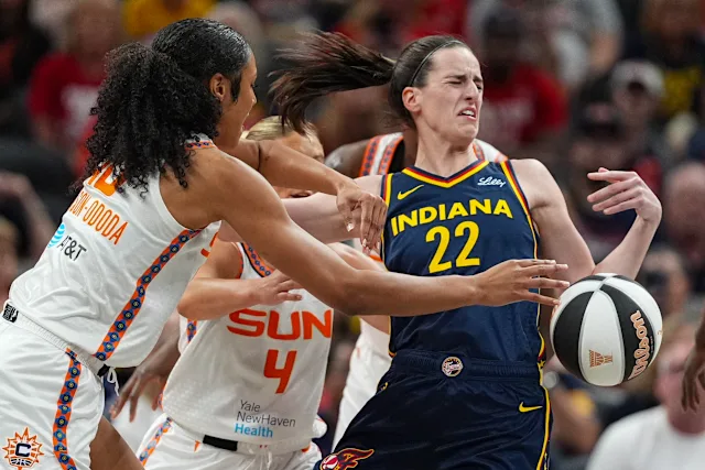 wnba fight ends in fight
